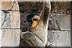 DSC_3148.jpg