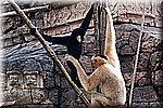 DSC_3149.jpg