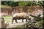 DSC_3154.jpg