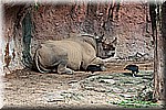 DSC_3156.jpg