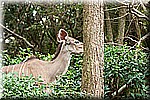 DSC_3158.jpg