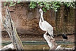 DSC_3159.jpg