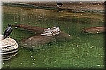 DSC_3160.jpg