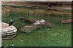 DSC_3161.jpg