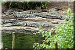 DSC_3164.jpg