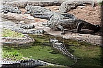 DSC_3166.jpg