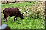 DSC_3168.jpg