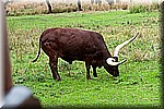 DSC_3169.jpg
