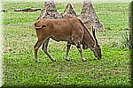 DSC_3170.jpg