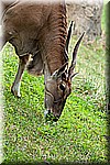 DSC_3171.jpg
