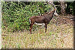 DSC_3172.jpg