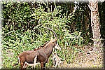 DSC_3173.jpg