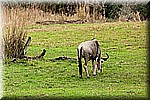 DSC_3175.jpg