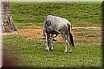 DSC_3176.jpg