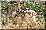 DSC_3177.jpg