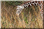 DSC_3178.jpg