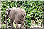 DSC_3183.jpg