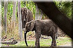DSC_3187.jpg
