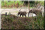 DSC_3188.jpg