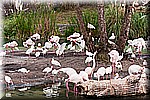 DSC_3191.jpg