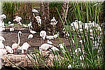 DSC_3192.jpg