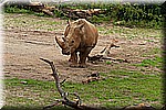 DSC_3198.jpg