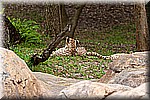 DSC_3199.jpg
