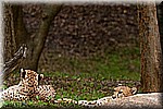 DSC_3200.jpg