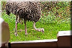 DSC_3202.jpg