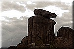 DSC_3203.jpg