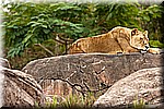 DSC_3204.jpg
