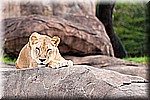 DSC_3206.jpg