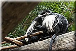 DSC_3213.jpg