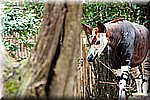 DSC_3214.jpg