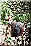 DSC_3215.jpg