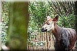 DSC_3216.jpg
