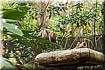 DSC_3222.jpg