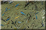 DSC_3224.jpg