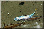 DSC_3228.jpg