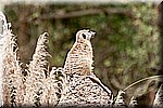 DSC_3231.jpg