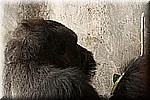 DSC_3233.jpg