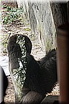 DSC_3234.jpg