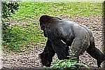DSC_3235.jpg