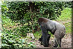 DSC_3236.jpg