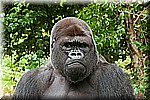 DSC_3238-2.jpg