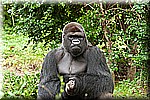 DSC_3238.jpg
