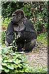 DSC_3239.jpg