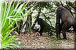 DSC_3240.jpg