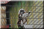 DSC_3243.jpg