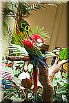 DSC_3247.jpg